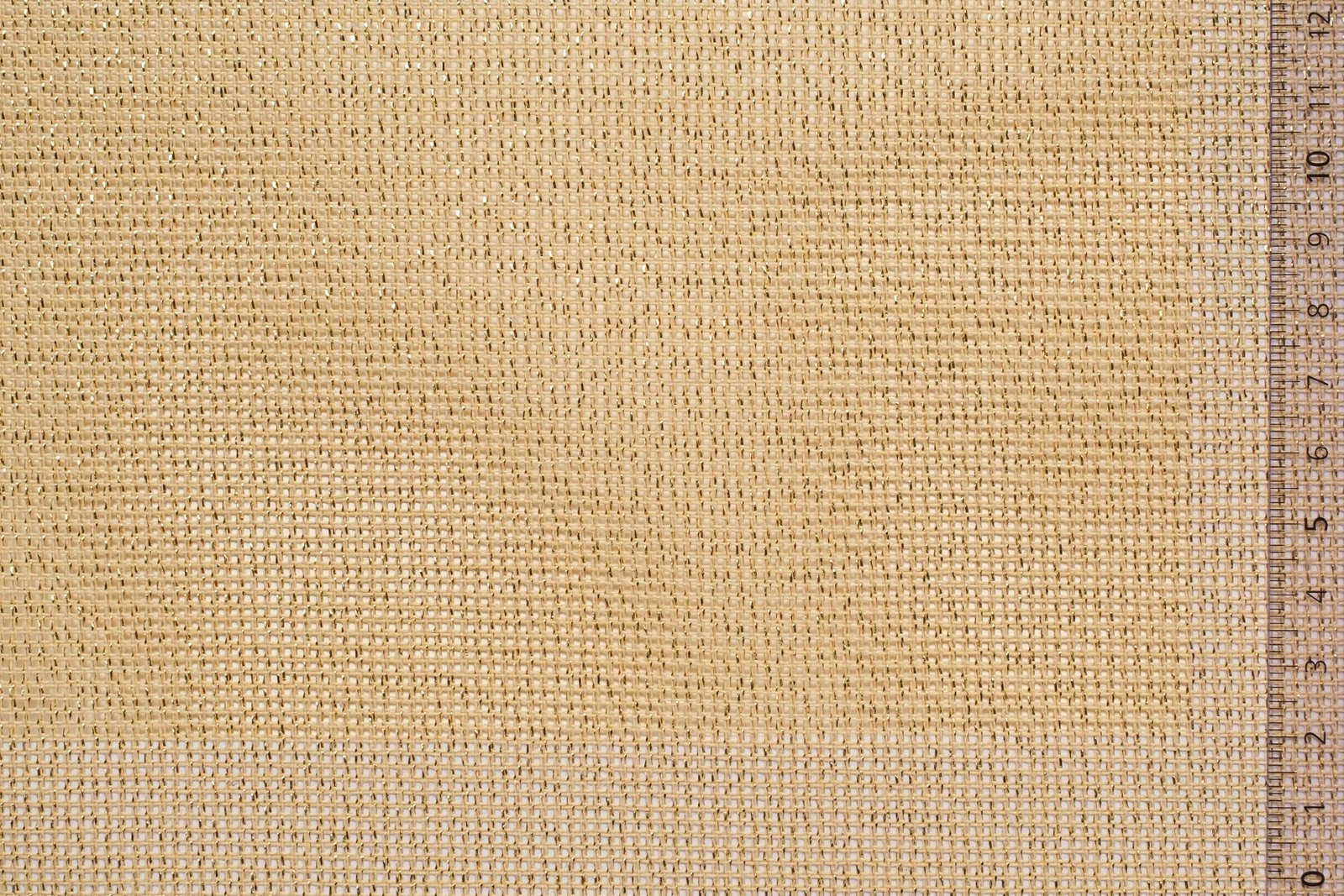 01CAN54ECRGOLxxxCOTLUR[CANVAS 54 MILLIMETRE](GOLD ECRU)F